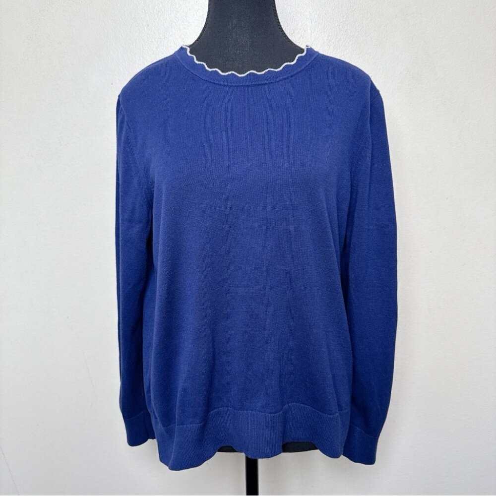 Banana Republic Blue Sweater with White Trim
